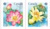 Colnect-4758-518-Flowers-Lotus.jpg
