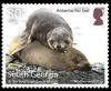 Colnect-4773-906-Antaractic-Fur-Seal--Mother-With-Pup.jpg