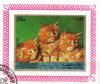 Colnect-5624-988-Kittens-Felis-silvestris-catus.jpg