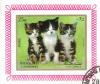 Colnect-5624-989-Kittens-Felis-silvestris-catus.jpg