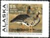 Colnect-6339-828-Fronted-goose.jpg