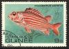 Colnect-965-758-Red-Soldier-Fish-Holocentrus-hastatus.jpg