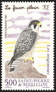 Colnect-2883-949-Peregrine-Falcon-Falco-peregrinus.jpg