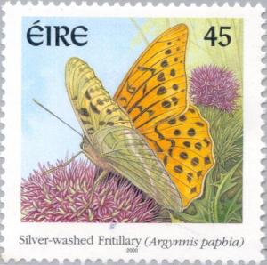Colnect-129-748-Silver-washed-Fritillary-Argynnis-paphia.jpg