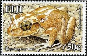 Colnect-1613-811-Fiji-Ground-Frog-Platymantis-vitianis.jpg