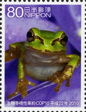 Colnect-4133-525-Frog---Flower.jpg