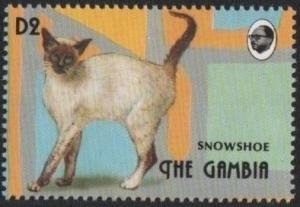 Colnect-4191-957-Snowshoe-Felis-silvestris-catus.jpg