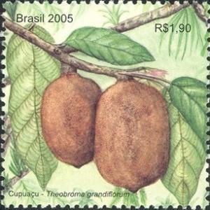 Colnect-488-052-Cupuaco---The-exotic-flavour-of-the-Brazilian-Amazonia.jpg