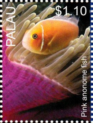 Colnect-4910-089-Pink-anemone-fish-Amphiprion-perideraion.jpg