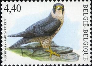 Colnect-575-850-Peregrine-Falcon-Falco-peregrinus.jpg