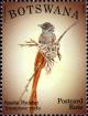 Colnect-2260-964-African-Paradise-Flycatcher-Terpsiphone-viridis.jpg