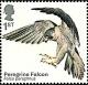 Colnect-5719-435-Peregrine-Falcon-Falco-peregrinus.jpg