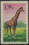 Colnect-1371-268-Giraffe-Giraffa-camelopardalis.jpg