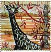 Colnect-1492-988-Giraffe-Giraffa-camelopardalis.jpg