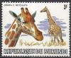 Colnect-2617-661-Reticulated-Giraffe-Giraffa-camelopardalis-reticulata.jpg