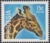 Colnect-3849-552-Giraffe-Giraffa-camelopardalis.jpg