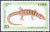 Colnect-5505-489-Ruibal-s-Least-Gecko-Sphaerodactylus-ruibali.jpg