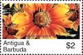 Colnect-3455-698-Gazania-rigens.jpg
