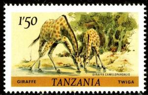 Colnect-1832-653-Giraffe-Giraffa-camelopardalis.jpg