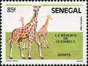 Colnect-2069-955-Giraffe-Giraffa-camelopardalis.jpg