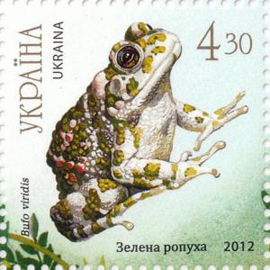 Colnect-2853-534-European-Green-Toad-Bufo-viridis.jpg