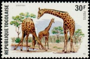 Colnect-3342-073-Giraffe-Giraffa-camelopardalis.jpg