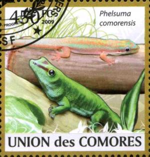 Colnect-3798-552-Comoros-Day-Gecko-Phelsuma-comorensis.jpg