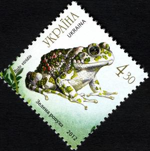Colnect-5488-144-European-Green-Toad-Bufo-viridis.jpg