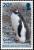 Colnect-5350-468-Gentoo-Penguin.jpg