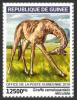 Colnect-5970-266-Reticulated-Giraffe-Giraffa-camelopardalis-reticulata.jpg