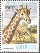 Colnect-1116-748-Giraffe-Giraffa-camelopardalis.jpg