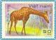 Colnect-1627-900-Giraffe-Giraffa-camelopardalis.jpg