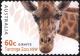 Colnect-6285-962-Giraffe-Giraffa-camelopardalis.jpg