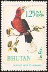 Colnect-1412-499-Rufous-necked-Hornbill-Aceros-nepalensis-.jpg