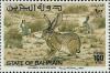 Colnect-1463-248-Cape-Hare-Lepus-capensis.jpg