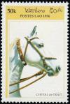 Colnect-2786-554-Cold-blooded-Horse-Equus-ferus-caballus.jpg