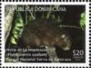 Colnect-3167-322-Hispanolian-Hutia-Plagiodontia-aedium.jpg