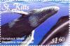 Colnect-3483-428-Humpback-whale.jpg