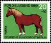 Colnect-4001-700-Cold-blooded-Horse-Equus-ferus-caballus.jpg