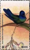 Colnect-5164-928-Blue-headed-hummingbird.jpg