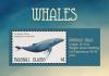 Colnect-6220-621-Humpback-Whale.jpg