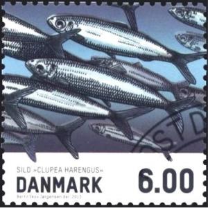 Colnect-1608-419-Atlantic-Herring-Clupea-harengus.jpg