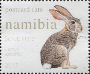 Colnect-4156-692-Scrub-Hare-Lepus-saxatilis.jpg