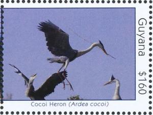 Colnect-4634-633-Cocoi-Heron----Ardea-cocoi.jpg