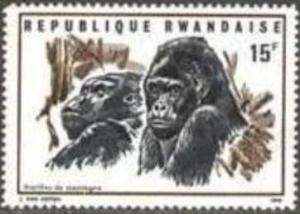 Colnect-5891-465-Gorilla-heads-Gorilla-beringei.jpg