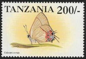 Colnect-5970-178-The-red-banded-hairstreak-Calycopis-cecrops.jpg