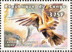 Colnect-868-361-Western-Marsh-Harrier-Circus-aeruginosus.jpg