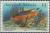 Colnect-1953-834-Spanish-Hogfish-Bodianus-rufus.jpg