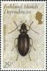 Colnect-1954-060-Beetle-Hydromedion-sparsutum.jpg