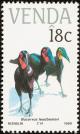 Colnect-751-646-Southern-Ground-hornbill-Bucorvus-leadbeateri.jpg